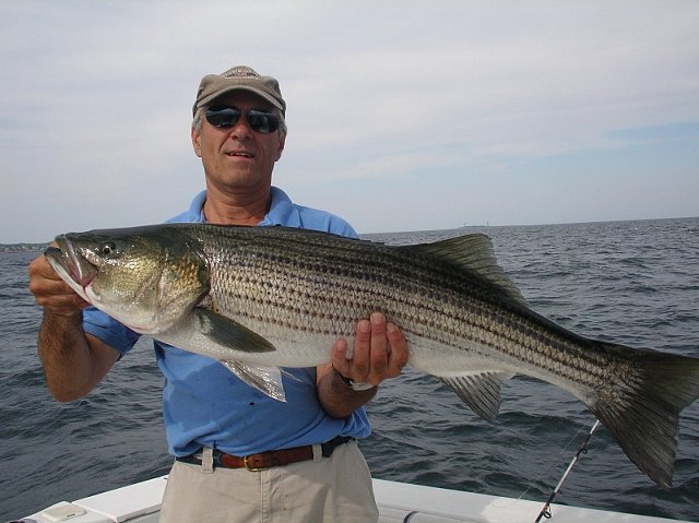 Gloucester Deep Sea Fishing: Tuna, Cod & Haddock Fishing-Gloucester MA